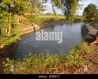 01083 arbres étangs à l'irrigation des rizières Site Sakdalan San Jose 05 Plaridel Banque D'Images