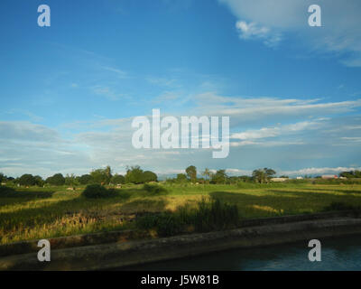 01083 arbres étangs à l'irrigation des rizières Site Sakdalan San Jose 11 Plaridel Banque D'Images
