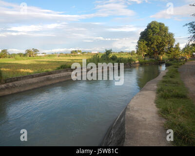 01083 arbres étangs à l'irrigation des rizières Site Sakdalan San Jose 12 Plaridel Banque D'Images