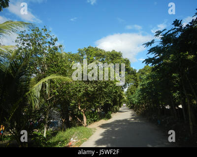 L'image montre des rizières le long de la route du marché agricole à Ilog-Bulo, San Miguel, Bulacan, prise en 1940. La photographie met en évidence les pratiques agricoles et la vie rurale aux Philippines pendant cette période. Banque D'Images