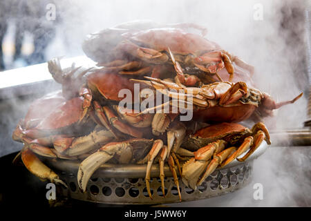 FISHERMAN'S WHARF GROTTO CRABS VAPEUR SAN FRANCISCO Crabs Dungeness fraîchement cuits et vapeur au Fisherman's Wharf Grotto Pier 39 Embarcadero San Francisco California USA Banque D'Images