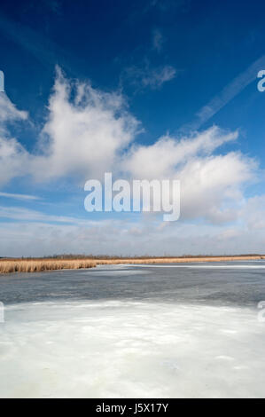 Lac gelé en Haute Souabe, Allemagne du Sud Banque D'Images