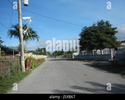 Il s’agit du paysage agricole de la région de Salapungan, près de Magumbali, à Candaba, Pampanga. L'image capture le cadre rural, en se concentrant sur les rizières et les routes locales dans la région de Luzon central, aux Philippines. Banque D'Images