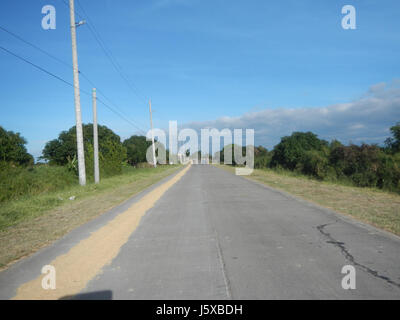 Cette image représente les rizières de Salapungan, Magumbali, Candaba, Pampanga, mettant en valeur le paysage agricole de la région. Les champs sont un élément clé de l'économie et de la culture locale de la région, en mettant l'accent sur la production de riz. Banque D'Images