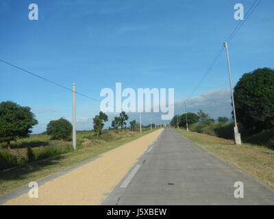 Cette image fait référence aux vastes rizières de Salapungan et aux routes reliant Magumbali à Candaba, Pampanga. La région est connue pour la riziculture et les activités agricoles typiques de la région. Banque D'Images