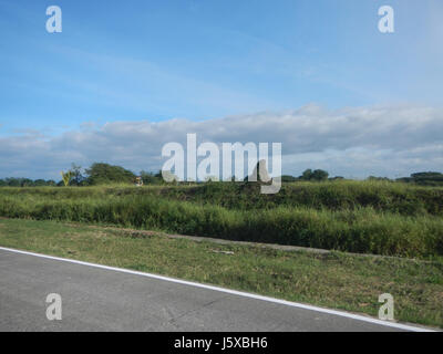 Il s'agit d'une image ou d'un document lié aux rizières de Salapungan, Magumbali, Paralaya et Poblacion à Candaba, Pampanga, Philippines, mettant en évidence le paysage agricole de la région. Banque D'Images