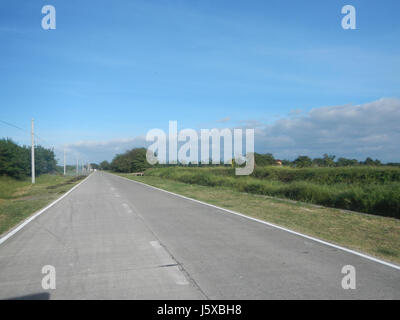 L'image représente le paysage agricole des rizières du Salapungan, situées dans les régions de Magumbali et Paralaya de Candaba, Pampanga, Philippines, mettant en valeur la communauté agricole locale et le paysage rural. Banque D'Images