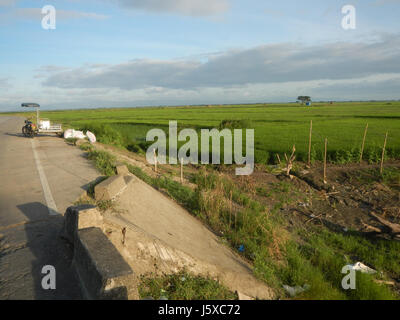Cette image représente un paysage rural dans les champs de Magumbali, Paralaya, Candaba, Pampanga, mettant en évidence les routes locales et les environs agricoles aux Philippines. Banque D'Images