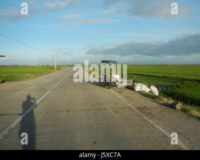 Cette image représente le paysage rural des champs Magumbali à Paralaya, Candaba, Pampanga, le long des routes de San Miguel. La région est connue pour son activité agricole, avec des champs utilisés pour l'agriculture et des voies de transport locales desservant la communauté. Banque D'Images