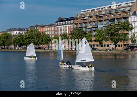 Junior sailors en optimist dériveurs sur le lac Peblinge, dans le centre de Copenhague sur un après-midi ensoleillé la fin du printemps au début de l'été. Banque D'Images