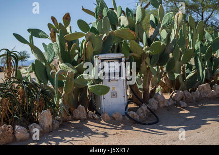 Pompe à gaz rétro avec Cactus dans un paysage de désert en solitaire, la Namibie Banque D'Images