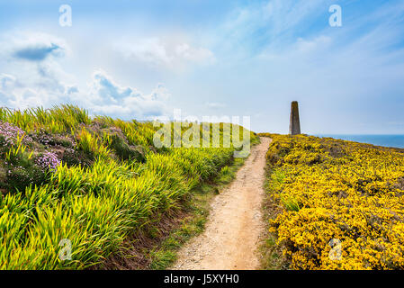 Le sentier côtier du sud-ouest au sud de Porthtowan, Cornwall, UK. Banque D'Images