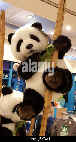 L'édition « -365photo 2017 » fait référence à une collection ou un projet photographique, probablement de l'année 2017. Ce projet peut impliquer la photographie quotidienne, capturant des moments de la vie quotidienne, des événements, ou des thèmes tout au long de l'année. Le numéro de référence spécifique (32230091713) peut concerner le catalogage ou l'identification d'images individuelles dans la collection. Banque D'Images