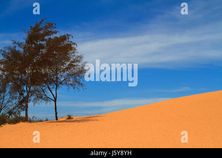Vues des dunes de sable blanc à mui ne, Vietnam Banque D'Images