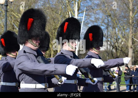 Relève de la garde à Buckingham Palace / Grenadier Guards Marching Banque D'Images