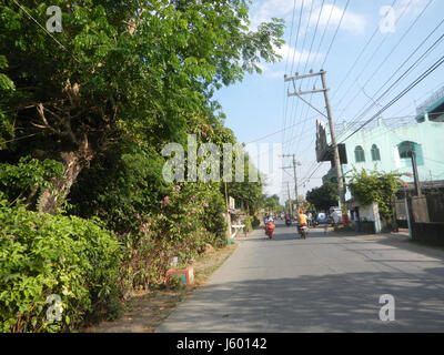 01352 rizières des prairies, des arbres Routes Sipat Dampol, Lagundi Plaridel 01 Banque D'Images