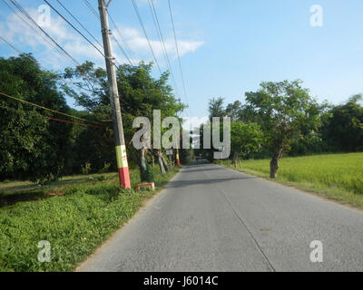 01352 rizières des prairies, des arbres Routes Sipat Dampol, Lagundi Plaridel 11 Banque D'Images