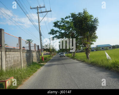 01352 rizières des prairies, des arbres Routes Sipat Dampol, Lagundi Plaridel 14 Banque D'Images