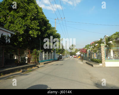 01352 rizières des prairies, des arbres Routes Sipat Dampol, Lagundi Plaridel 18 Banque D'Images