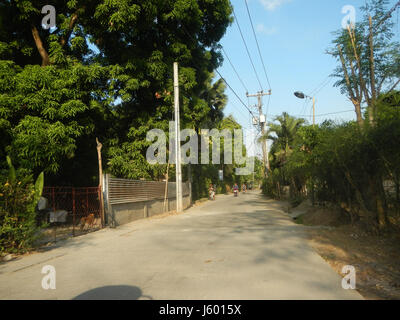 01352 rizières des prairies, des arbres Routes Sipat Dampol, Lagundi Plaridel 47 Banque D'Images