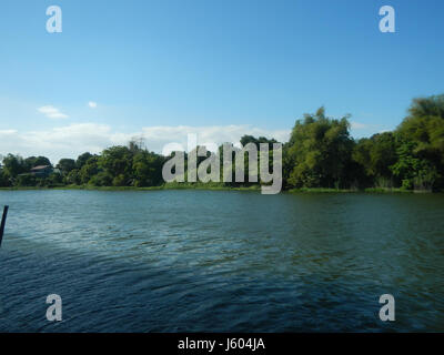Cette référence semble se rapporter au Diospyros blancoi, également connu sous le nom de Mabolo, une espèce de kaki trouvée aux Philippines. Les localités mentionnées – Dampol, Rueda, Plaridel et Pungo à Bulacan et Calumpit – indiquent probablement des zones où ces arbres sont cultivés, contribuant ainsi à l’agriculture locale dans la région. Banque D'Images