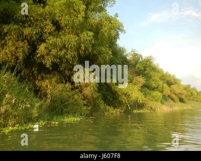 Cette image représente les districts fluviaux de San Juan, Santa Cruz et Pambilog à San Luis, Pampanga. Situées aux Philippines, ces zones sont connues pour leur importance agricole et leurs rivières pittoresques qui jouent un rôle vital dans la vie locale. Banque D'Images