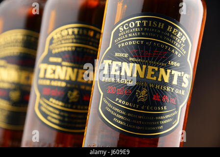 POZNAN, Pologne - 12 août 2016 : Tennents Whisky Oak est une marque de bière produite par la brasserie La Couleuvrine à Glasgow en Écosse, filiale d'Anheuser-Busc Banque D'Images