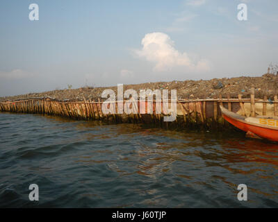 '03735 River Banks Panasahan Malolos City Bulacan' fait référence à une image des rives du fleuve dans la région de Panasahan de Malolos City, située à Bulacan, aux Philippines. La photographie capture le paysage naturel de la rivière et de ses environs. Banque D'Images