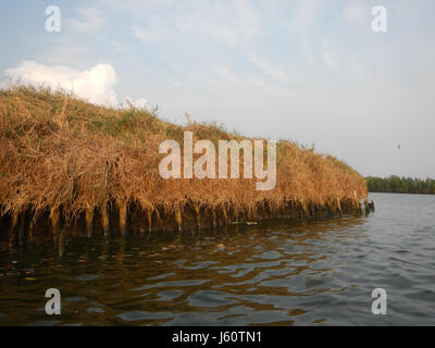 Cette photographie capture la vue panoramique sur les rives de la rivière à Panasahan, Malolos City, situé à Bulacan. L'image reflète la beauté naturelle et les caractéristiques environnementales de la zone fluviale, qui joue un rôle important dans les ressources en eau et les activités agricoles de la communauté locale. Banque D'Images