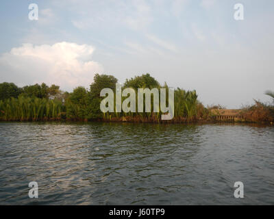 Cette image fait référence aux berges de Panasahan, Malolos City, Bulacan, Philippines, mettant en évidence le paysage naturel et le rôle des berges dans l'environnement local. Banque D'Images