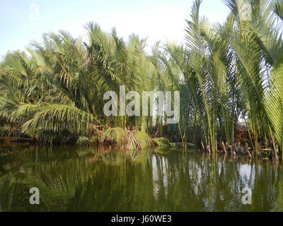 Ce titre fait référence à un emplacement le long des rives de Calero, Malolos, San José et Paombong à Bulacan, Philippines, une région connue pour son importance agricole et historique. Banque D'Images
