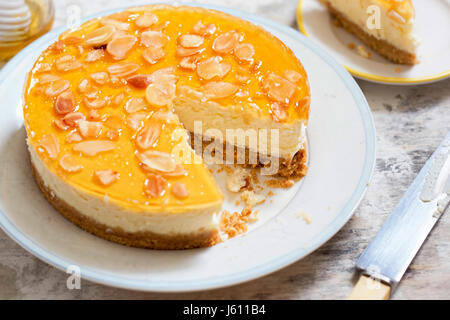 Le miel et le yaourt à la grecque cheesecake Banque D'Images