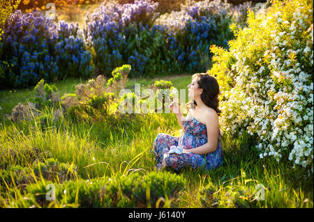 Belle jeune fille enceinte dans blooming garden soufflant sur le pissenlit Banque D'Images