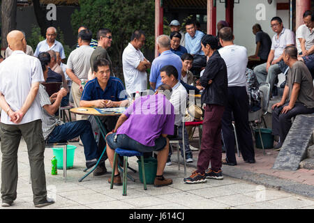 Les chinois des cartes à jouer, Yinchuan, Ningxia, Chine Banque D'Images