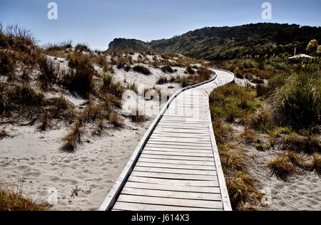 Passerelle en bois Nouvelle Zélande Île du Sud Côte Ouest Banque D'Images