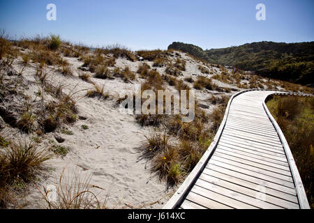 Passerelle en bois Nouvelle Zélande Île du Sud Côte Ouest Banque D'Images
