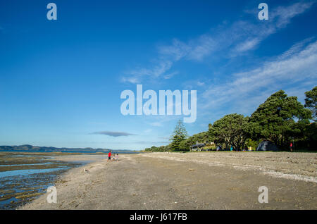 Auckland, Nouvelle-Zélande - Janvier 30,2016 : Omaña Regional Park à Auckland, en Nouvelle-Zélande. Banque D'Images