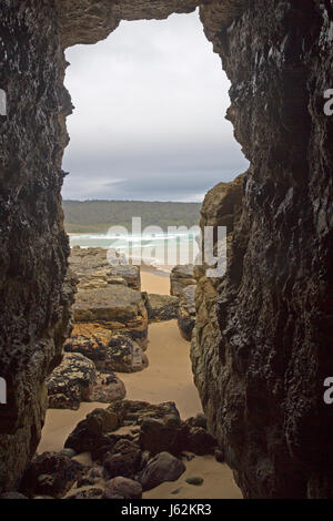 Mars Bluff, le long de la populaire promenade au Cap La Reine Elizabeth à Bruny Island Banque D'Images