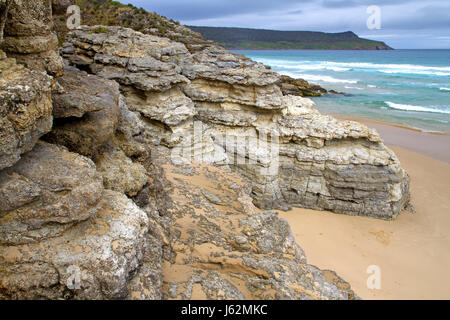 Mars Bluff, le long de la populaire promenade au Cap La Reine Elizabeth à Bruny Island Banque D'Images