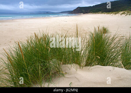 Moorina Bay sur Bruny Island Banque D'Images