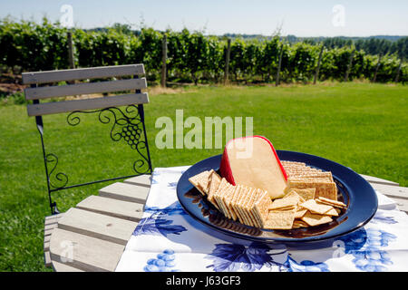 Michigan,MI,Mich,Upper Midwest,Coloma,Karma Vista Vineyards and Winery,raisin,ferme,agriculture,domaine vin en bouteille,viticulture,dégustation,nourriture,fromage,cra Banque D'Images