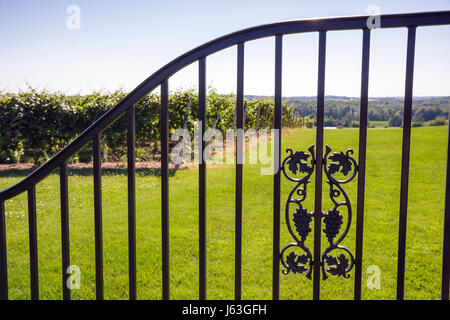 Michigan,MI,Mich,Upper Midwest,Coloma,Karma Vista Vineyards and Winery,raisin,ferme,agriculture,domaine vin en bouteille,viticulture,porte de fer,motif,visiteur Banque D'Images