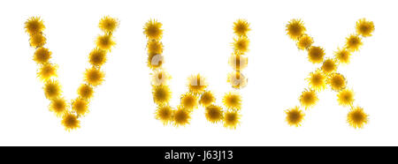 Fleurs Plantes Fleurs fleur de pissenlit purge lettre lettres alphabet ABC sign Banque D'Images