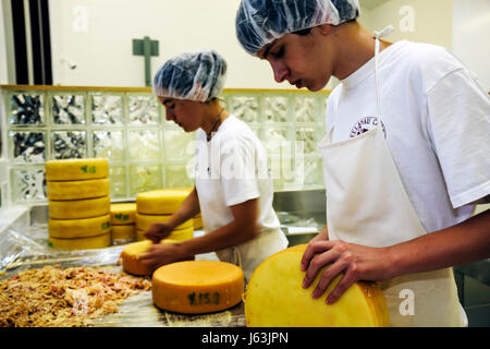 Michigan traverse City, Leelanau Peninsula, Black Star Farms, Leelanau Cheese Company, creamery, faire du fromage, artisanat, compétences, roues, raclette, laiterie, adolescent, adolescent, m Banque D'Images