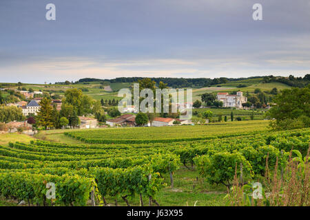 France, Charente (16), Bouteville, le vignoble de Cognac, maisons du village et église Saint-Paul // France, Charente, Bouteville, vignoble de Cognac et th Banque D'Images