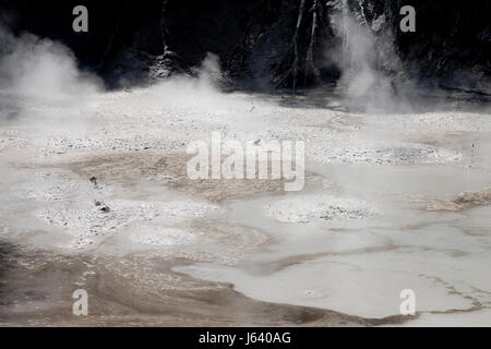 Des piscines de boue Rotorua Nouvelle Zélande zone thermique Banque D'Images