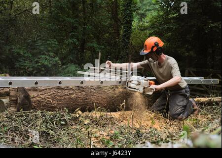 L'homme à l'aide d'une scie tronçonneuse d'Alaska à couper du bois à partir d'un journal dans un bois, le Pays de Galles, Royaume-Uni Banque D'Images