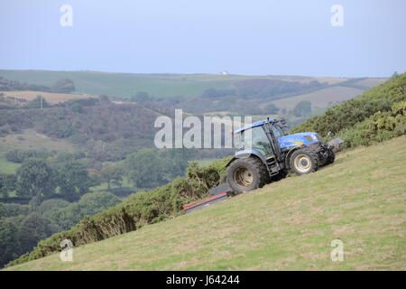 Homme conduisant un tracteur avec prise de force, fléau, entraînée par l'ajonc d'effacement de gommage des terres agricoles, le Pays de Galles, Royaume-Uni Banque D'Images