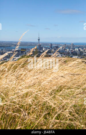 Auckland, le Mont Eden, Nouvelle-Zélande Banque D'Images