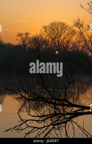 Le lever du soleil sur une ancienne gravière dans Attenborough Nature Reserve, Nottinghamshire Banque D'Images